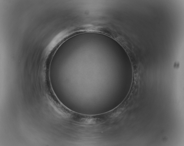 X0000111940295200907271419