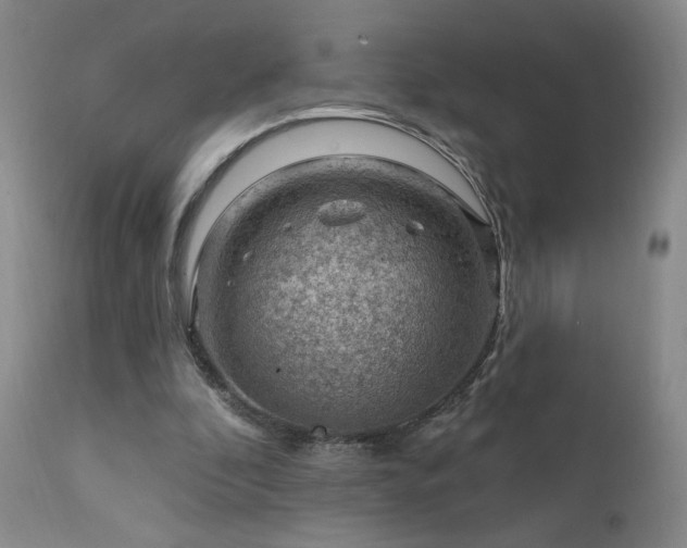 X0000111940296200907271419