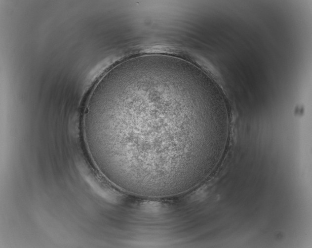 X0000111940298200907271419