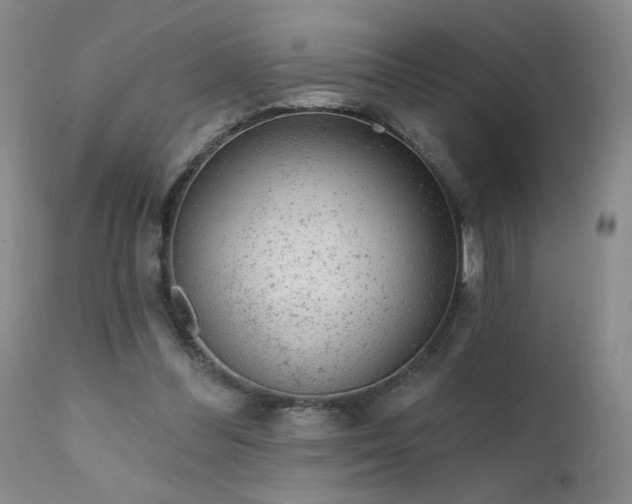 X0000111940300200907271419