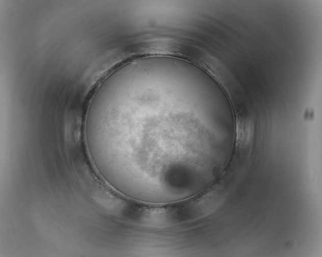 X0000111940301200907271419