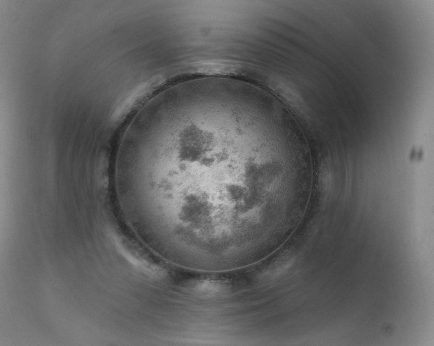 X0000111940303200907271419