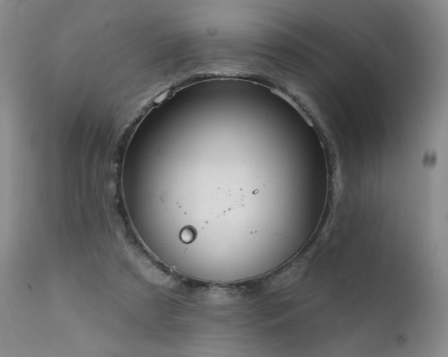 X0000111940305200907271419