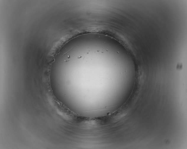 X0000111940307200907271419