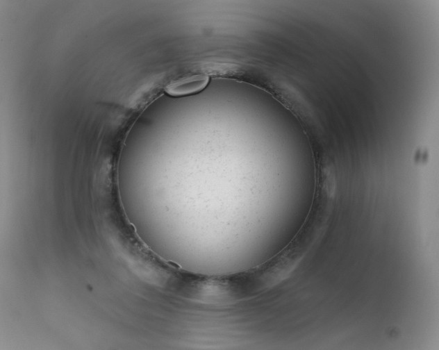 X0000111940308200907271419