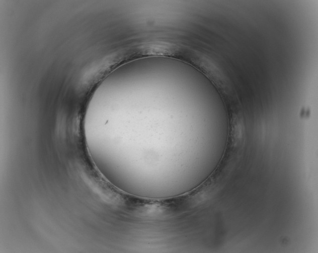 X0000111940310200907271419