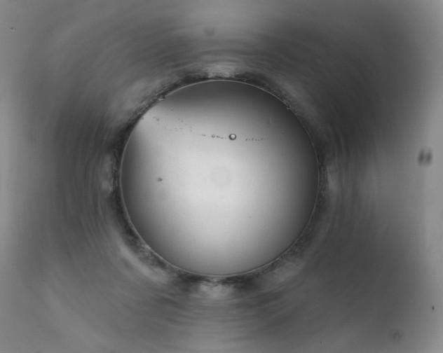 X0000111940311200907271419