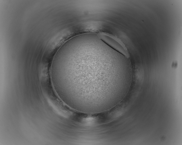 X0000111940312200907271419