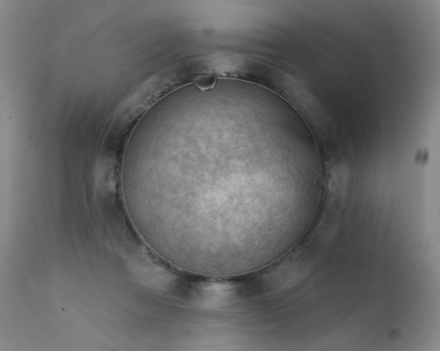 X0000111940313200907271419