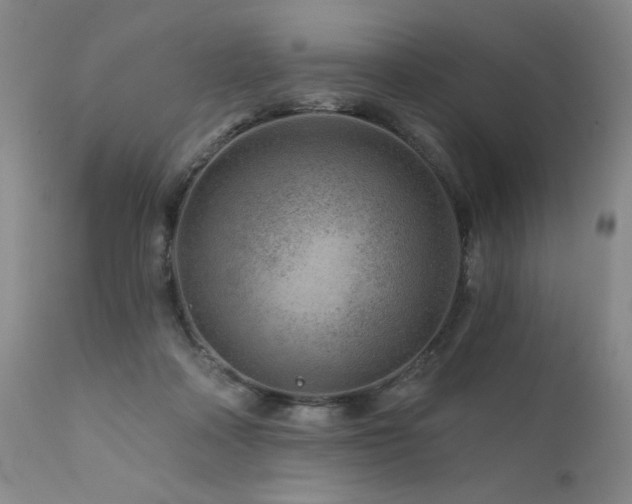 X0000111940314200907271419