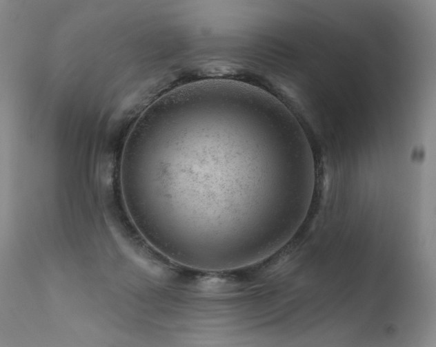 X0000111940315200907271419