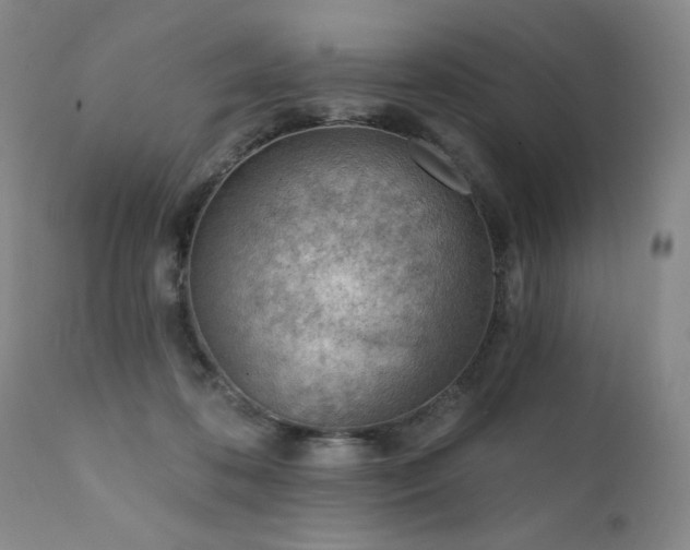 X0000111940316200907271419