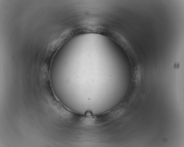 X0000111940318200907271419