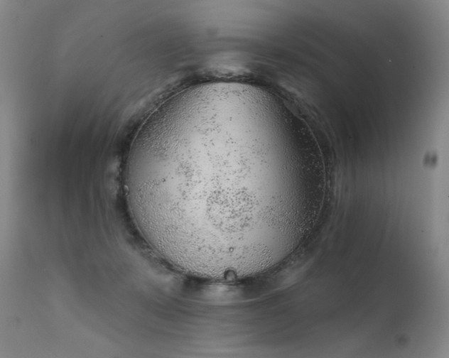 X0000111940319200907271419