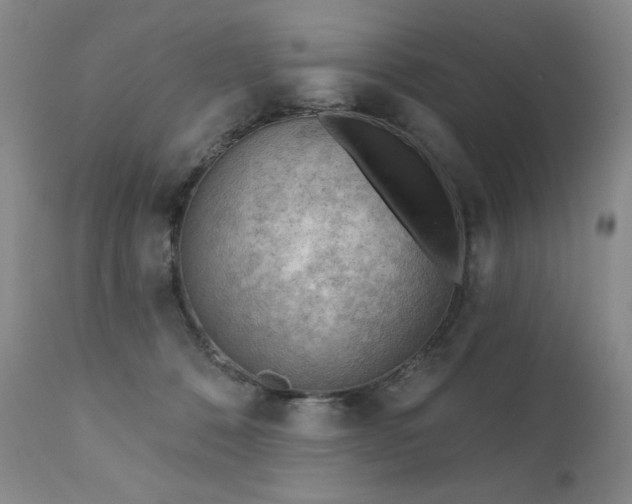 X0000111940320200907271419