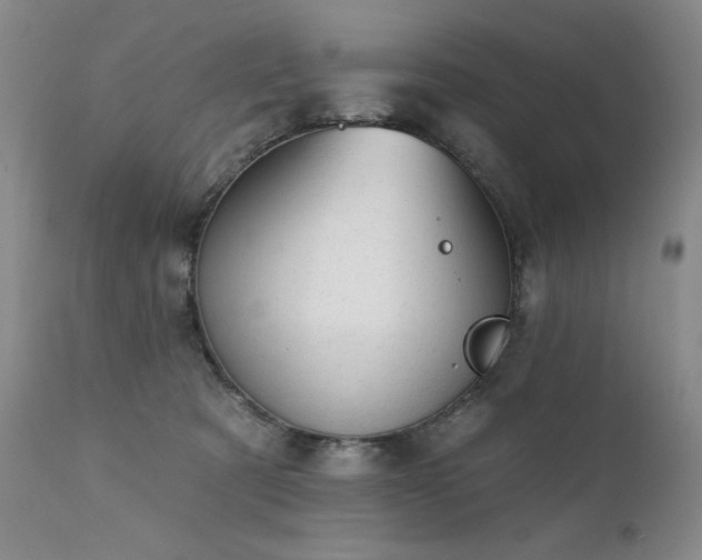 X0000111940321200907271419