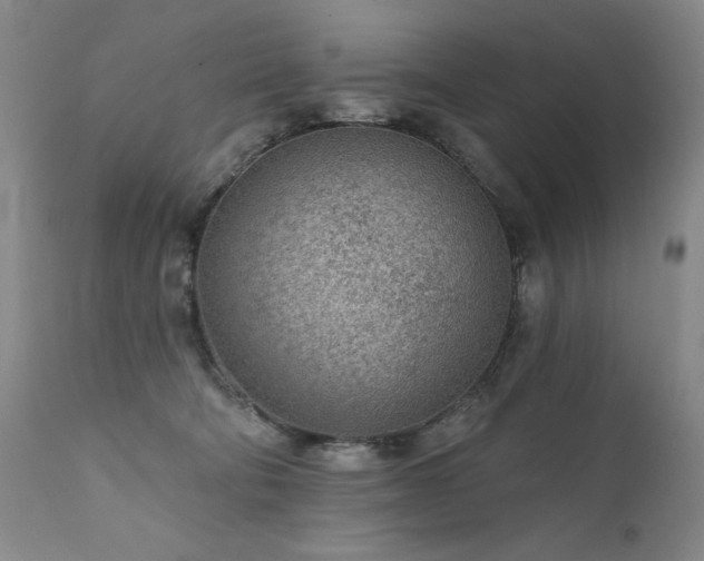 X0000111940322200907271419