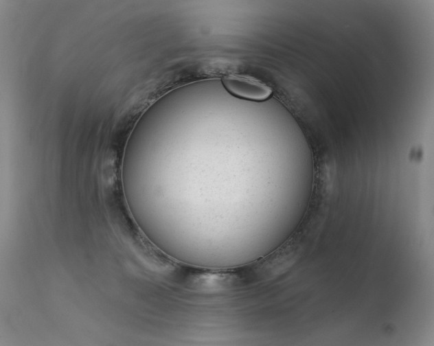 X0000111940323200907271419