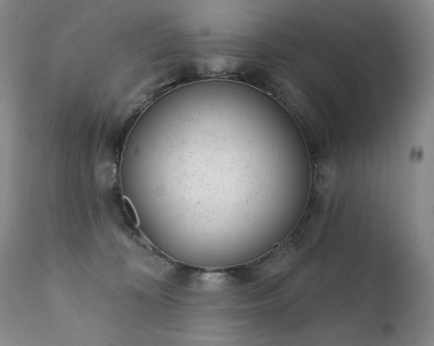 X0000111940324200907271419