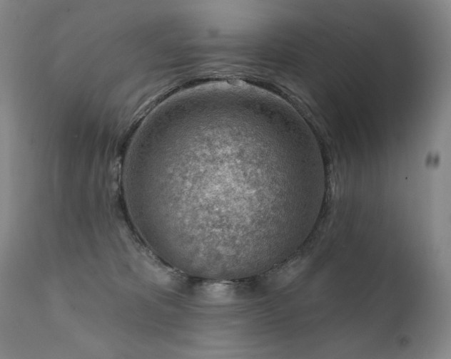 X0000111940325200907271419