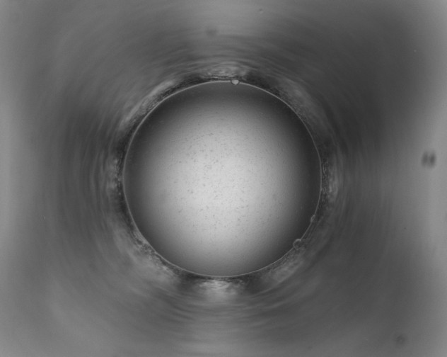 X0000111940326200907271419