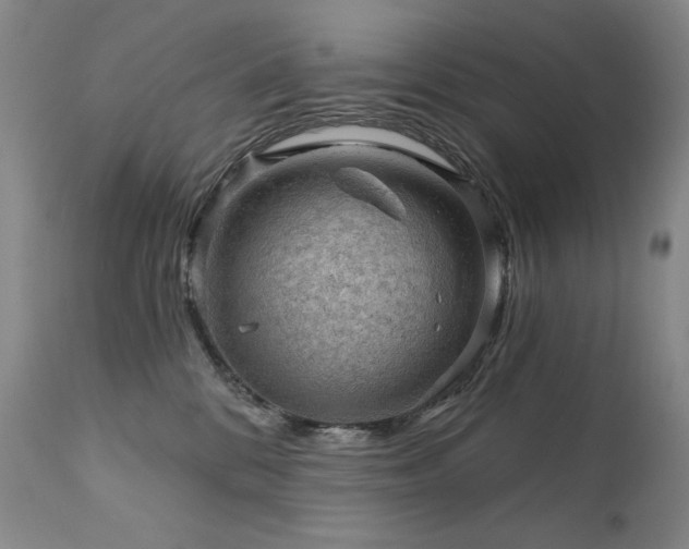 X0000111940328200907271419