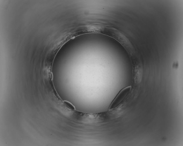 X0000111940329200907271419