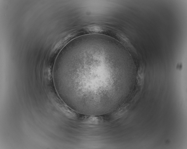 X0000111940330200907271419