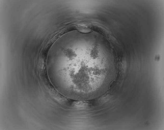 X0000111940331200907271419