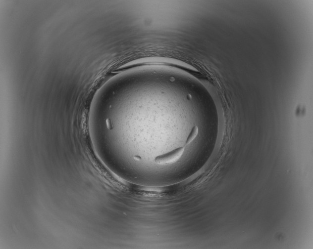 X0000111940336200907271419