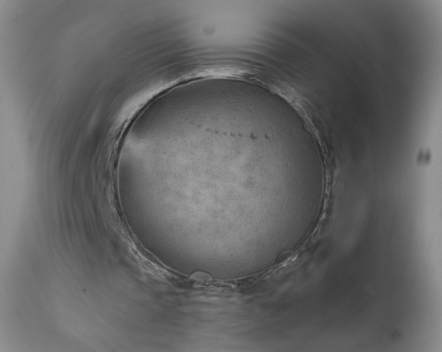 X0000111940337200907271418