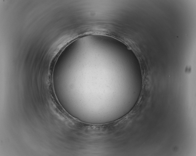 X0000111940338200907271418