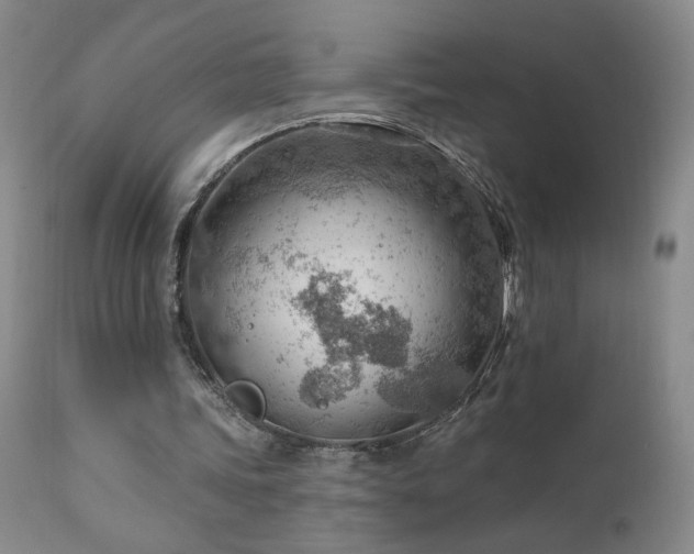 X0000111940339200907271418