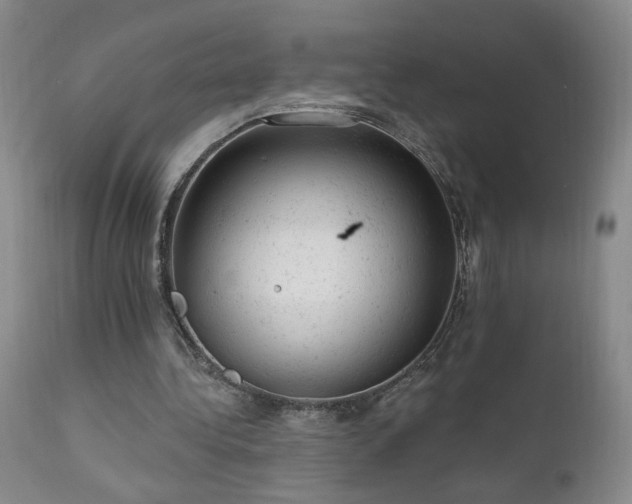 X0000111940340200907271418