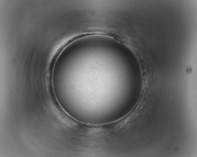 X0000111940342200907271418