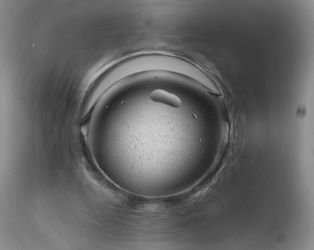 X0000111940344200907271418