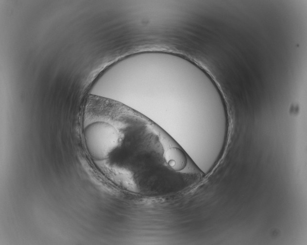 X0000111940345200907271418