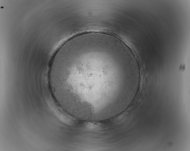 X0000111940346200907271418