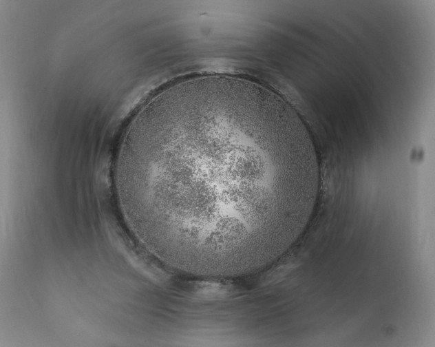 X0000111940347200907271418