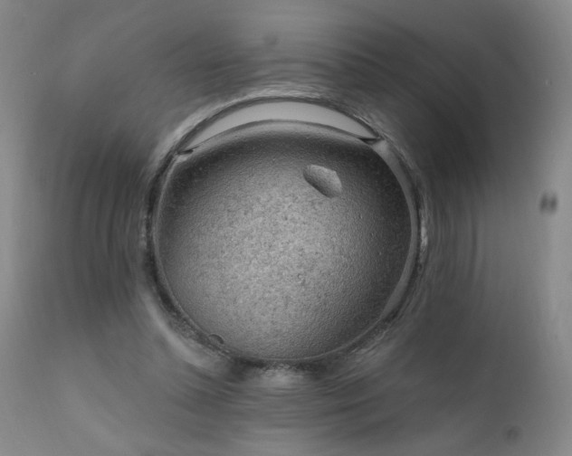 X0000111940348200907271418