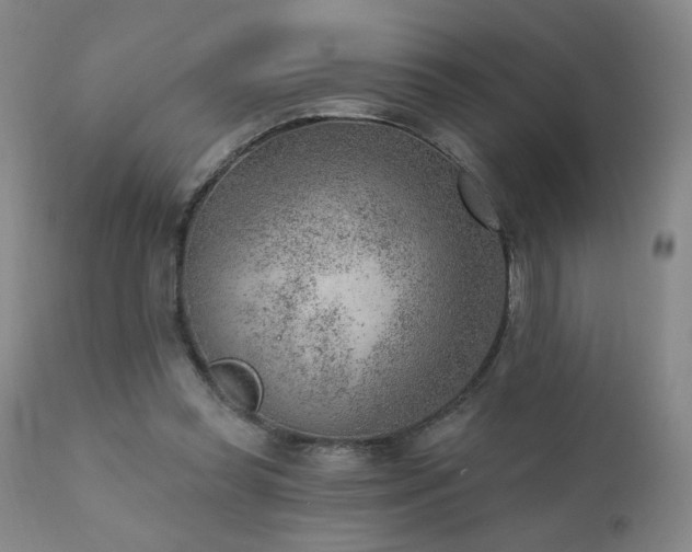 X0000111940349200907271418