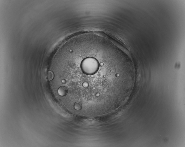 X0000111940351200907271418