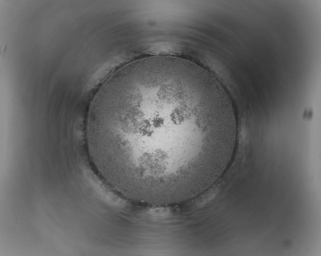 X0000111940353200907271418