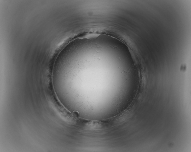 X0000111940354200907271418