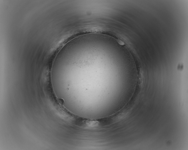 X0000111940355200907271418