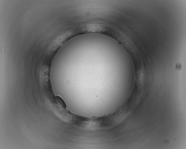 X0000111940356200907271418