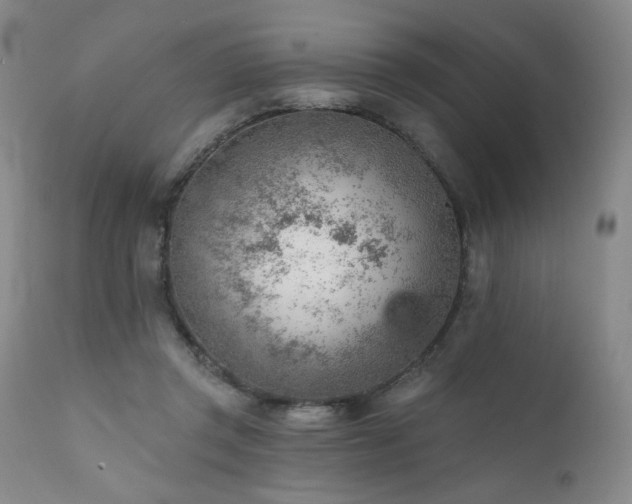 X0000111940357200907271418