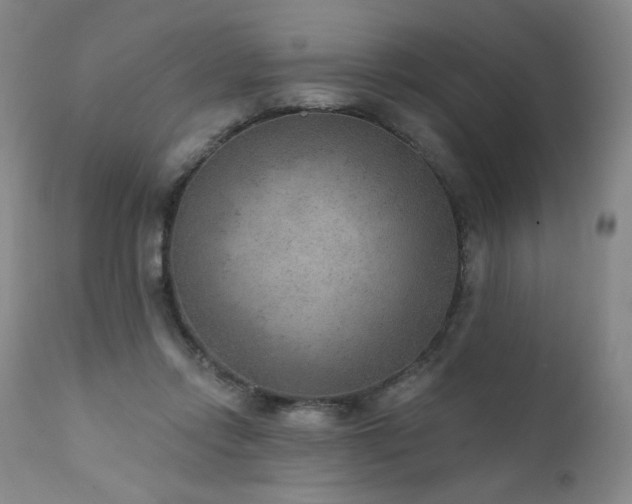 X0000111940358200907271418