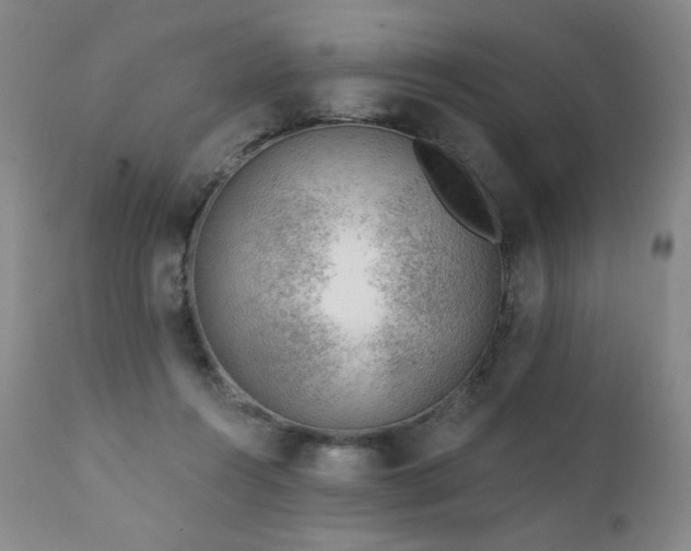 X0000111940360200907271418