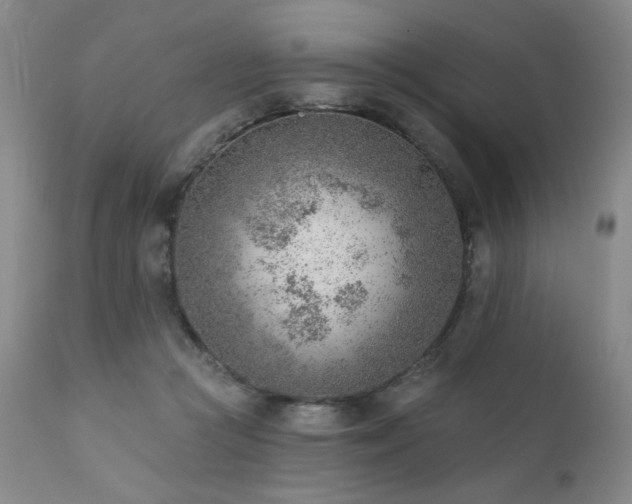 X0000111940361200907271418